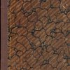 Лошадь как лошадь. Третья книга лирики.