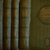 История Русской литературы XIX в. Под редакцией Д.Н. Овсяннико-Куликовского. При ближайшем участии А.Е. Грузинского и П.Н.Сакулина.  