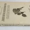 Альманахи издательства Шиповник.  Книга 17. Среди авторов: Дымов, 0.; Тэффи; Ремизов., А