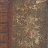 История военных действий в Азиатской Турции в 1828-1829 годах.