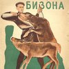 Два бизона