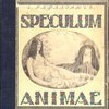 Speculum Animae / Обложка работы С. В. Чехонина; Рисунки титульных листов работы В. Я. Чемберс